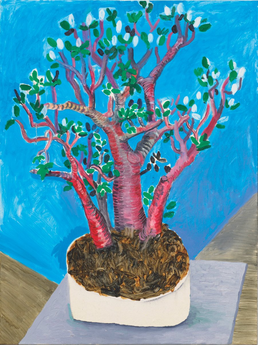 Hockney, Jade Plant, 2014
